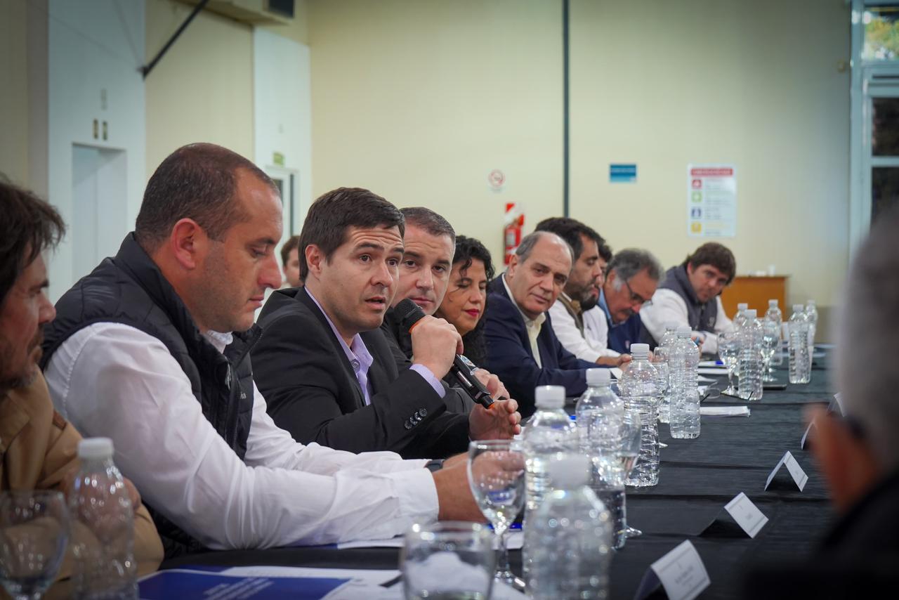 *CHACO SE UNE AL COMITÉ DE CRISIS JUNTO A OTRAS 11 PROVINCIAS EN LA LUCHA CONTRA EL VECTOR “LA CHICHARRITA