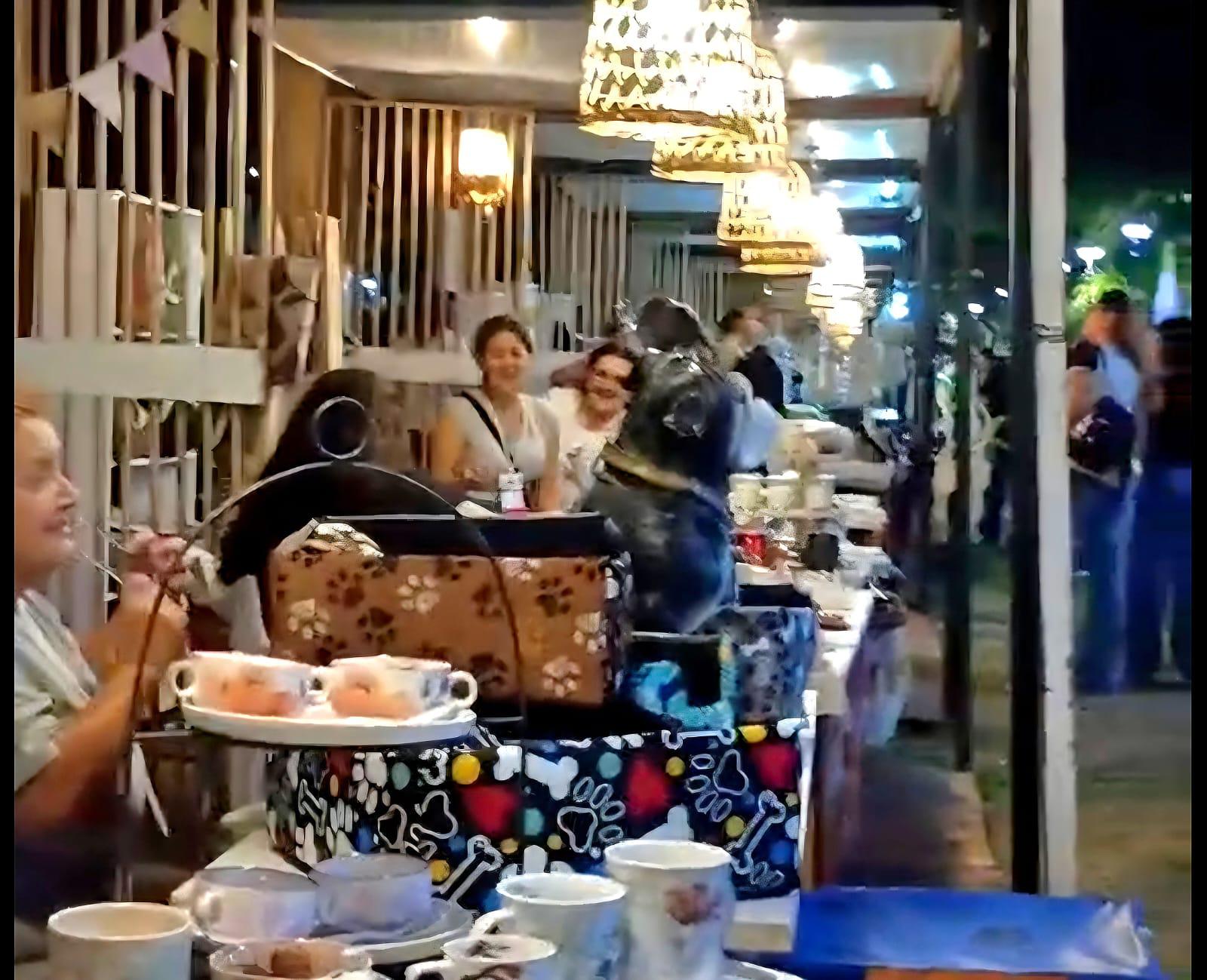 *SE REALIZÓ EXITOSAMENTE LA 1º EXPO DEL EMPRENDEDOR CHAQUEÑO A CIELO ABIERTO*