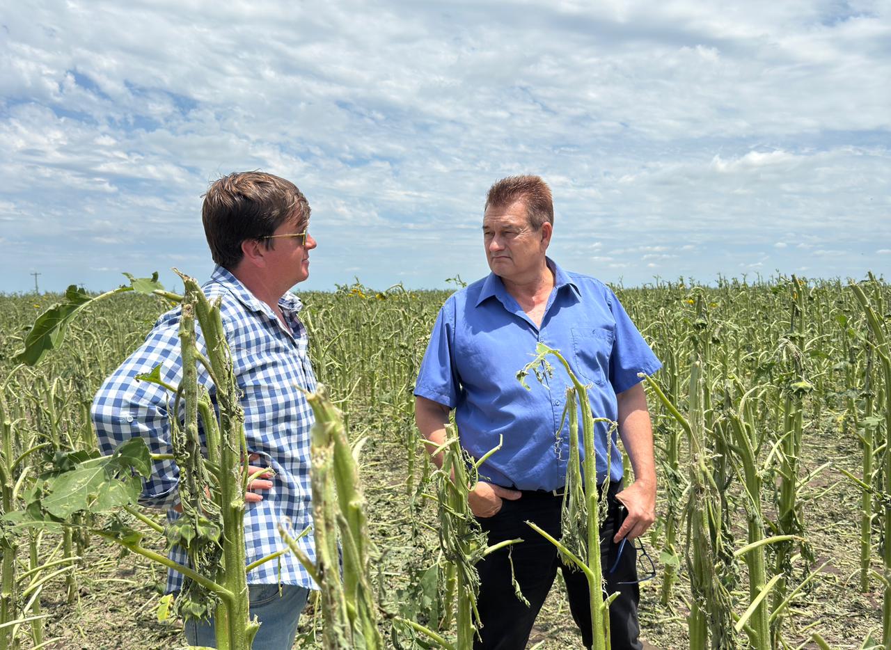 EL MINISTERIO DE LA PRODUCCIÓN RELEVÓ LOS DAÑOS POR LA TORMENTA EN HERMOSO CAMPO Y EN MESÓN DE FIERRO