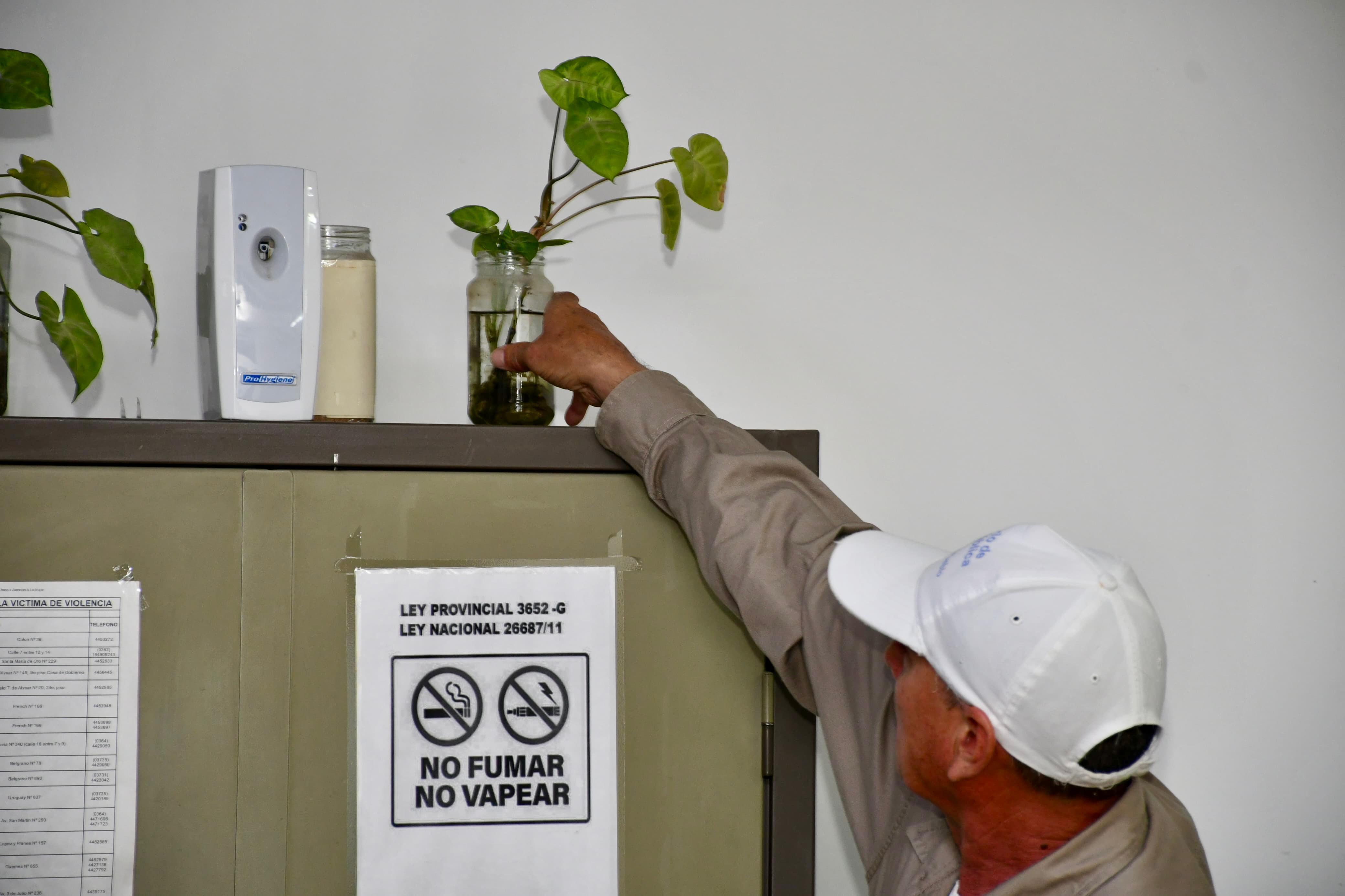 *INSTITUCIONES PÚBLICAS LIBRES DE MOSQUITOS: CAMPAÑA -MOSQUITOS +SALUD*