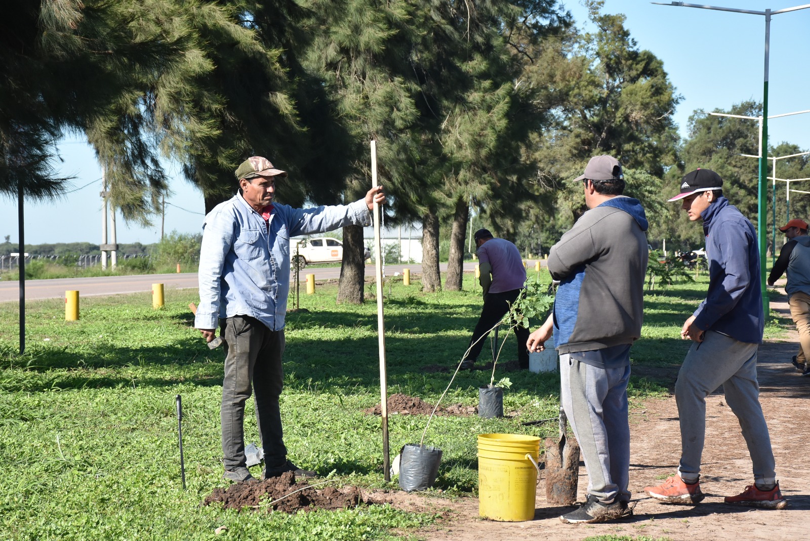 LA MUNICIPALIDAD REALIZA TRABAJOS DE REPOSICIÓN Y MANTENIMIENTO DE PLANTAS EN EL ACCESO NORTE