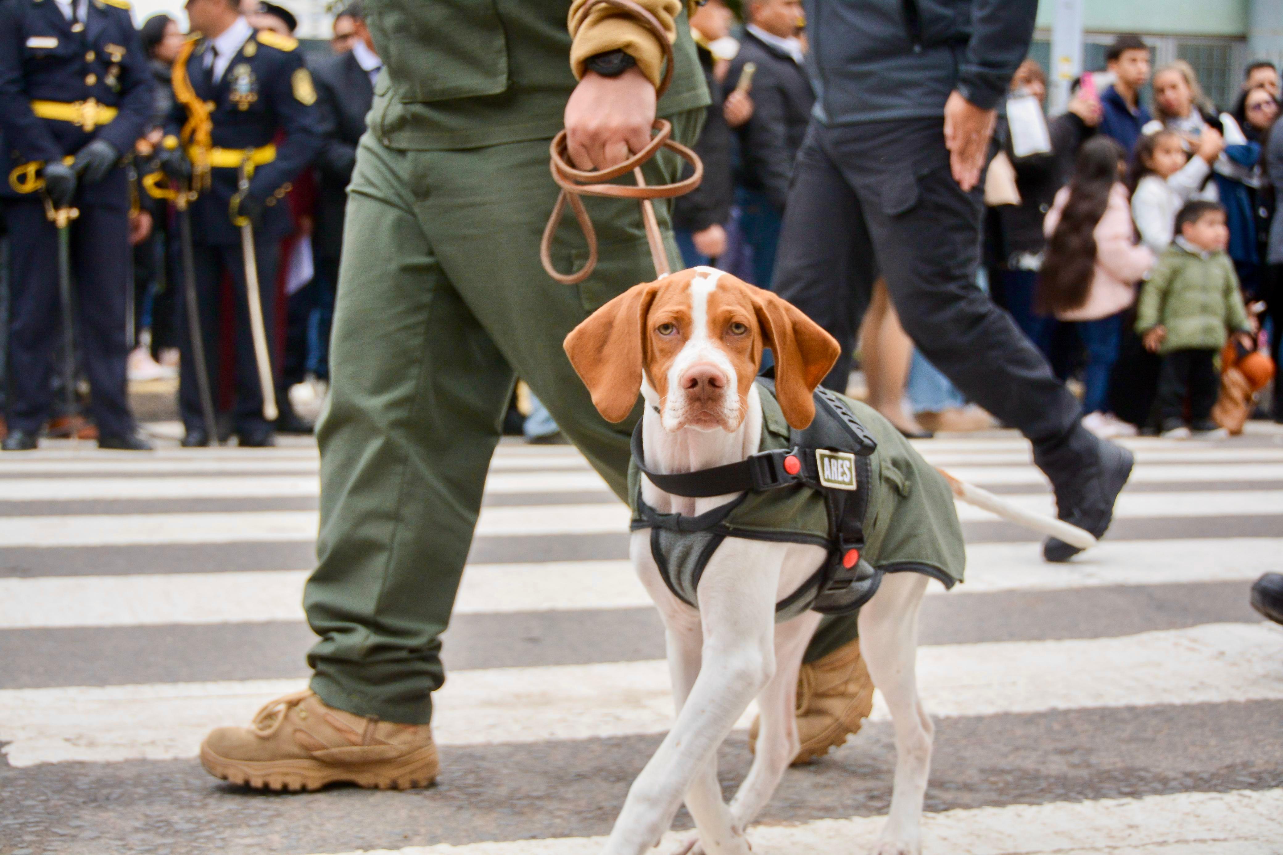 *72° ANIVERSARIO DE LA POLICÍA DEL CHACO: EL GOBERNADOR ZDERO ANUNCIÓ NUEVO PROCESO DE INSCRIPCIÓN A LAS FUERZAS Y RATIFICÓ LOS ASCENSOS*