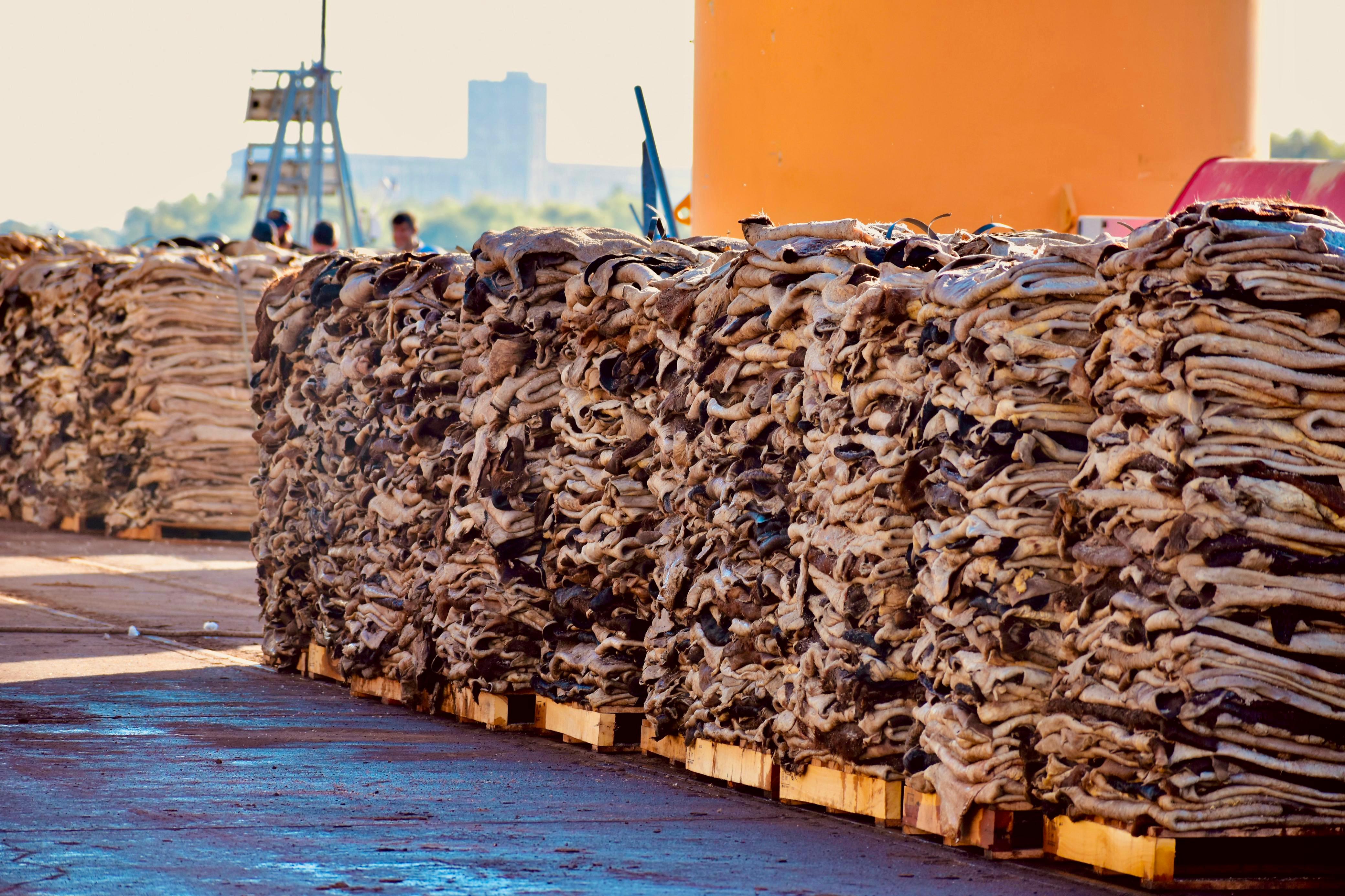 DESDE CHACO A CHINA: EL GOBERNADOR ZDERO CONSTATÓ OTRA HISTÓRICA JORNADA PARA EL PUERTO DE BARRANQUERAS