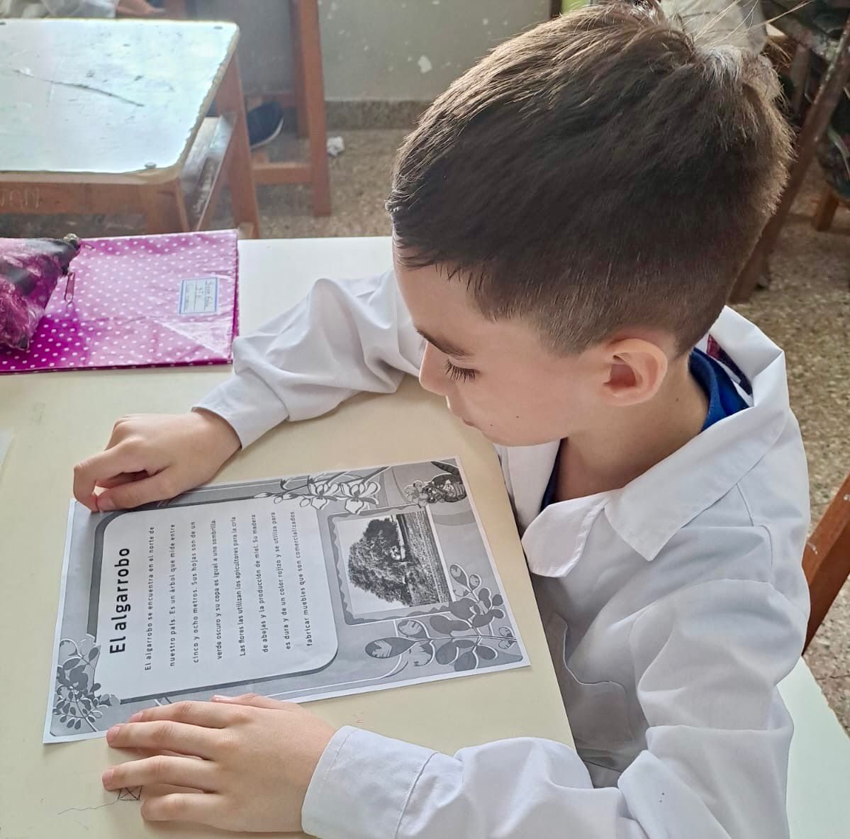 LAS ESCUELAS PRIMARIAS SE PREPARAN PARA UN NUEVO TEST DE FLUIDEZ LECTORA