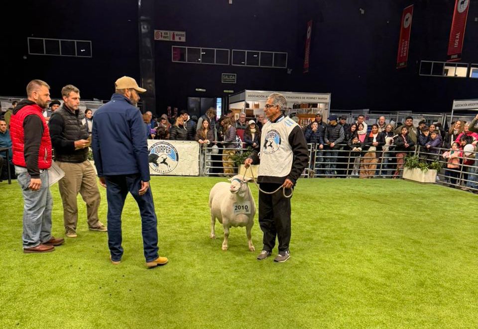 CHACO CELEBRA UN NUEVO TRIUNFO GANADERO EN LA EXPO RURAL 2025