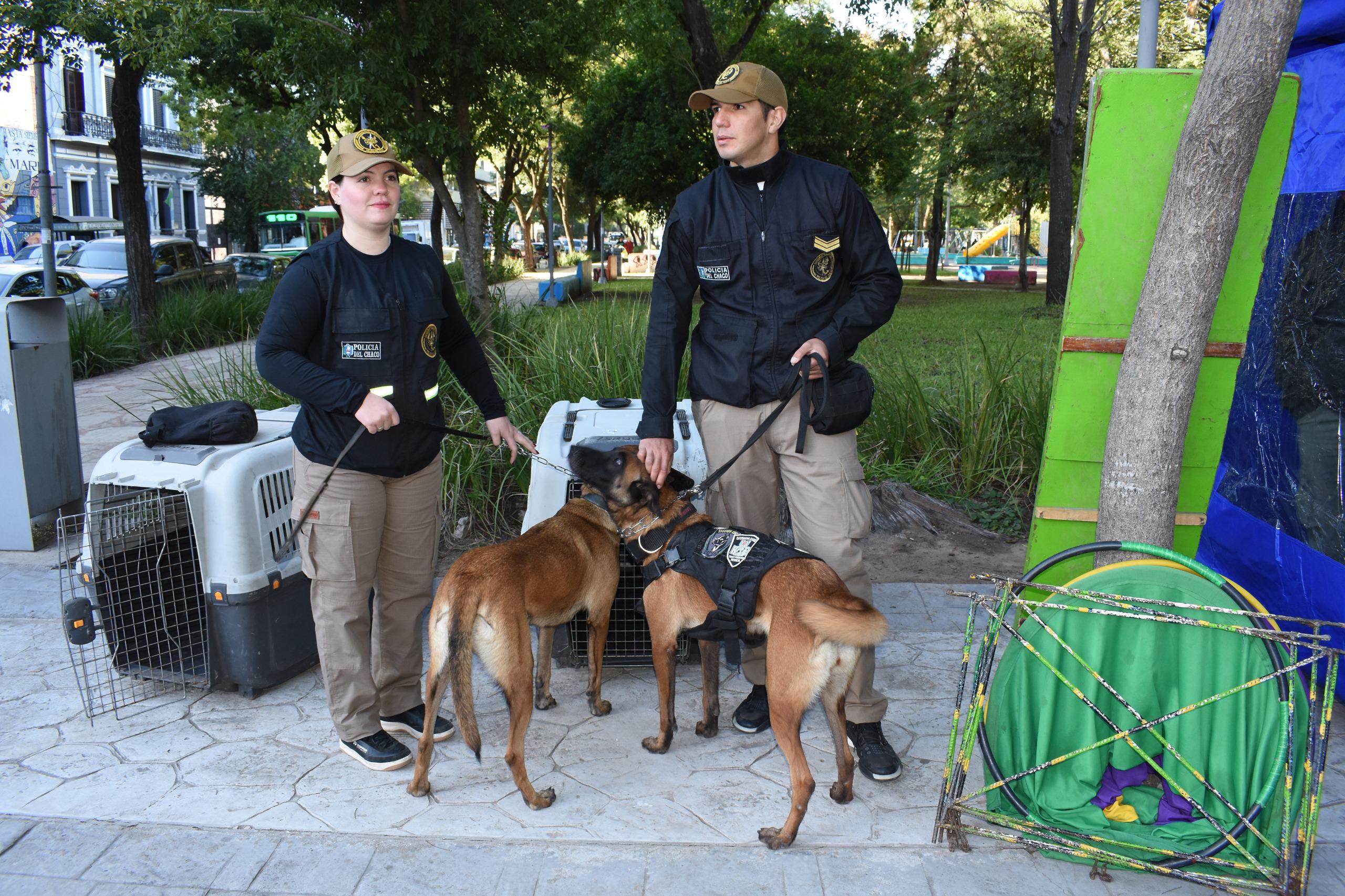 EL MINISTRO MATKOVICH DESTACÓ LOS RESULTADOS DE LA LUCHA FRONTAL CONTRA EL NARCOTRÁFICO